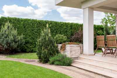 Garden and Lawn Maintenance